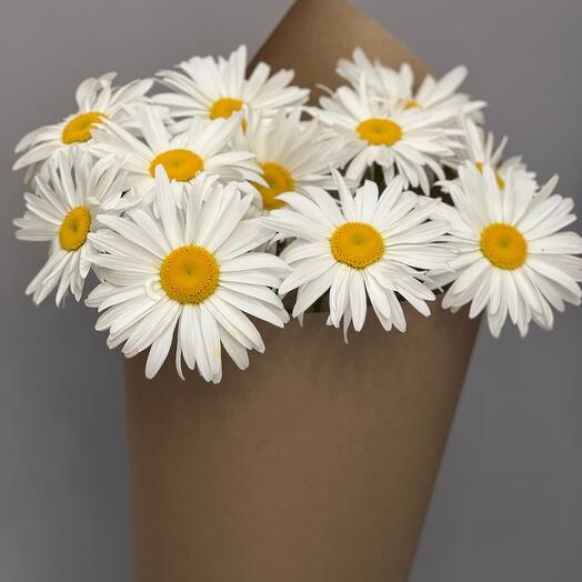 Daisies