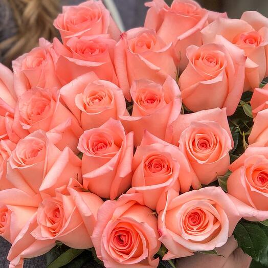 Роза(экв) Энгажемент 80см(Rosa Prima) купить по доступной цене в Москве