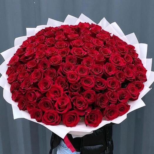 101 rosas (60cm )