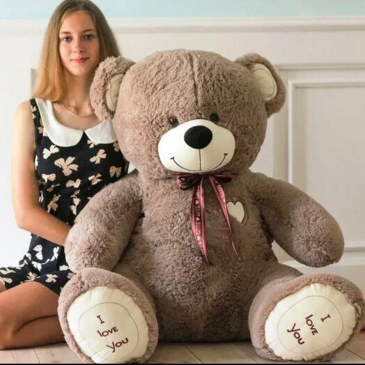 Bear 120 cm
