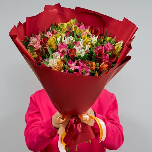 Alstroemeria monobook size M