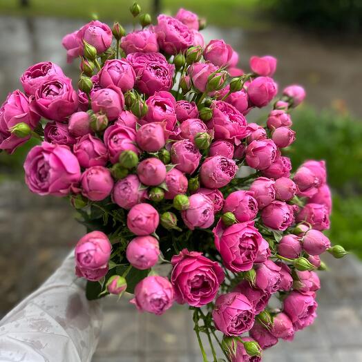 Peony - shaped roses