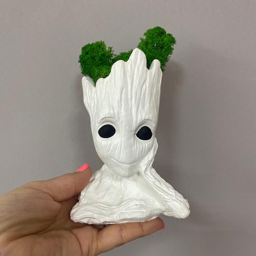 Plantador "Groot" surtido