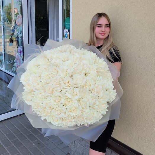 65 rosas de encaje blanco como la nieve