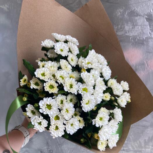 Сантини Росси White