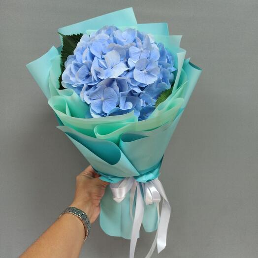 Hortensias en un paquete de "Tentación"