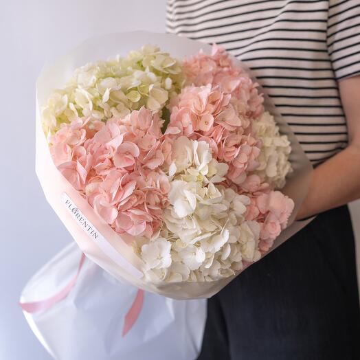 Buket od belih i rozih hortenzija (7 pcs.)