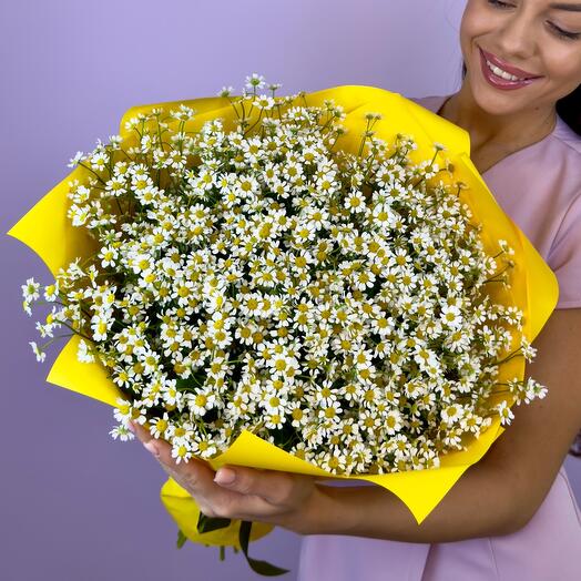 Ромашки Камилла