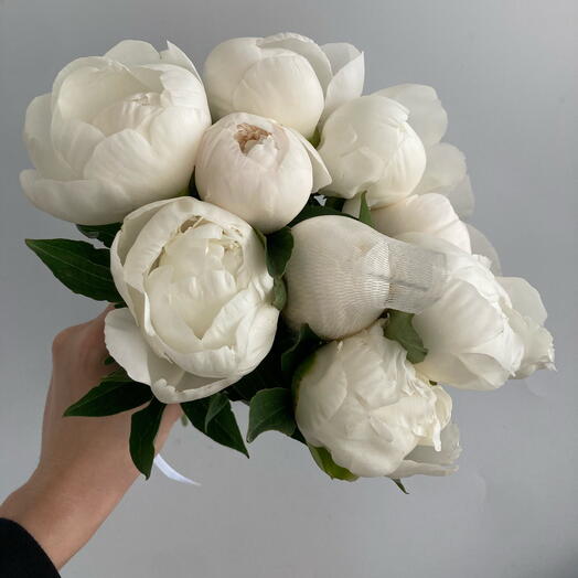 Gorgeous white peonies
