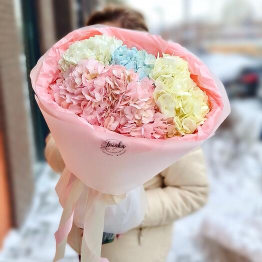 Моно из гортензий