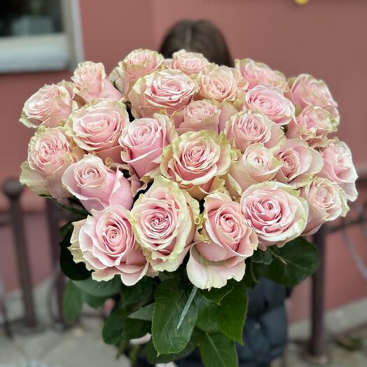 25 розовых эквадорских роз