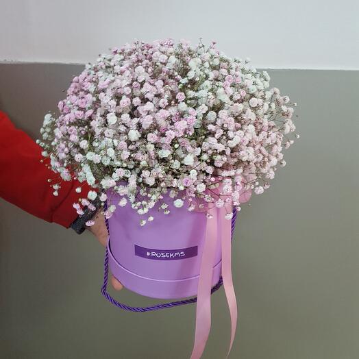 Воздушная гипсофилла