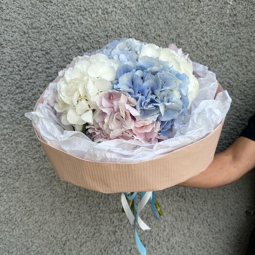 Bouquet hydrangeas
