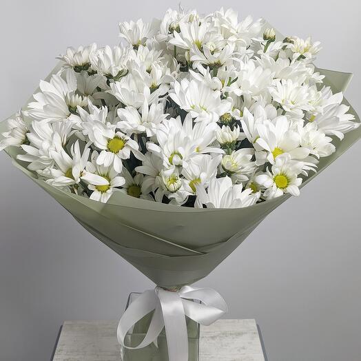 Bouquet of white Chrysanthemums