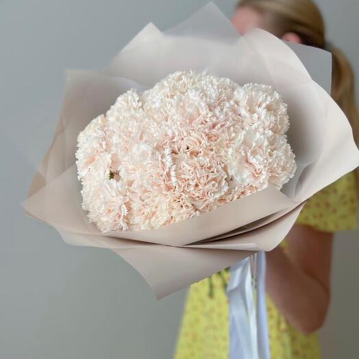 Dianthus