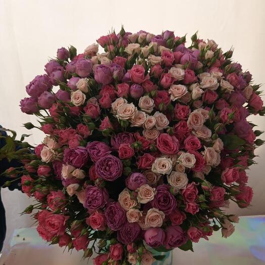 Роза кустовая