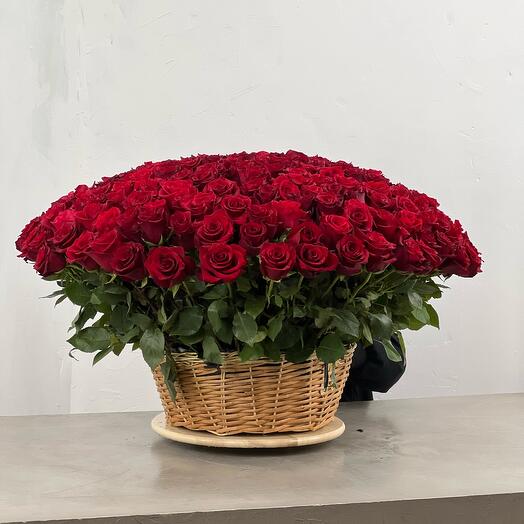 Rosas rojas en la cesta