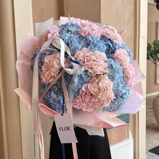 Hydrangea XL