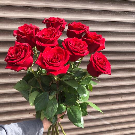 🌹Крупная красная Эквадорская Роза,9 шт с атласной лентой