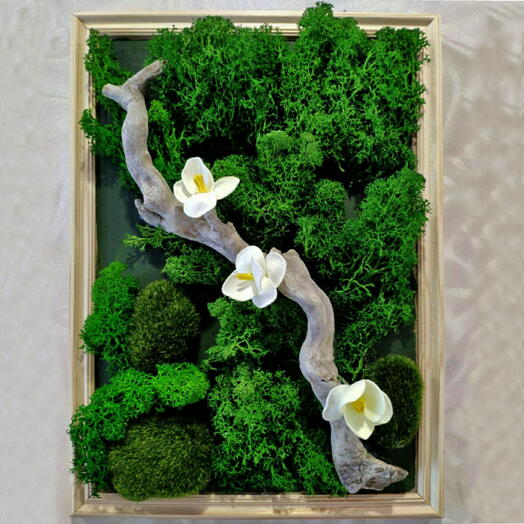 Bosque de primavera