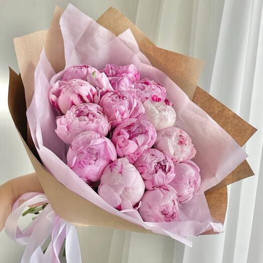 Пионы  Голландия 15 пионов