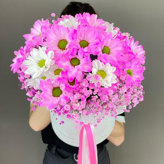 Chrysanthemums with gypsophila in a velvet box