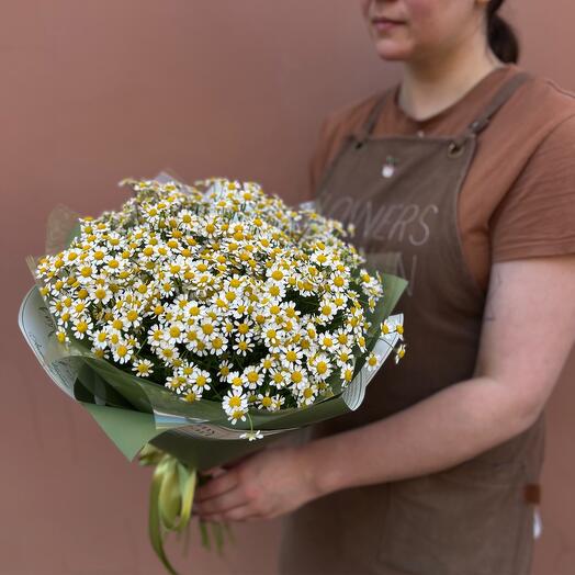 Букет ромашек