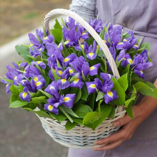 Basket with irises