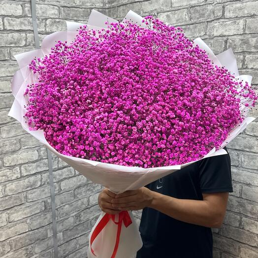 Гипсофила малиновая💖