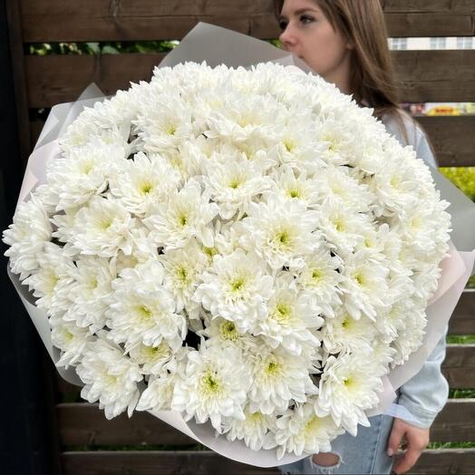 Белоснежная кустовая хризантема в дизайнерской упаковке