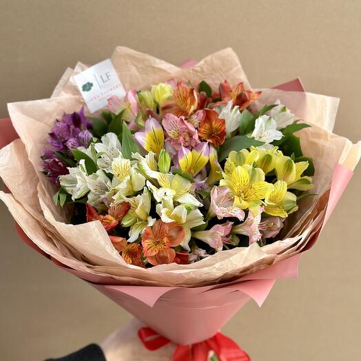 Alstroemeria