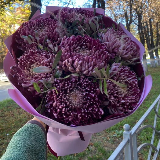 Хризантема Бигуди