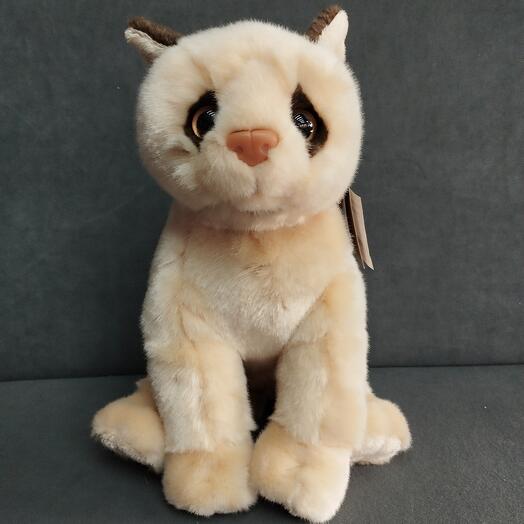 Сиамская Кошечка
