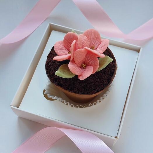 A chocolate pot for mom on Mother's Day on March 8, a birthday cake in a chocolate cup