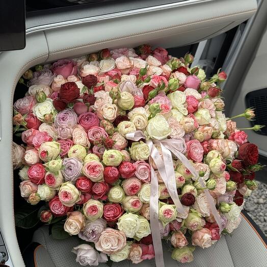 Pion Rose Mix