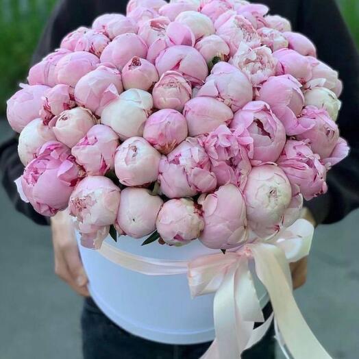 Bouquet of 51 pink peonies in hatbox