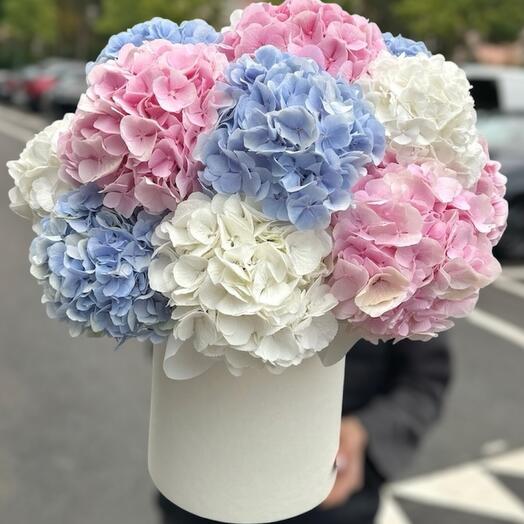 Букет из разноцветных гортензий в шляпной коробке