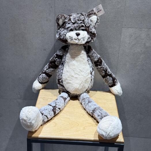 Кот длинные ноги