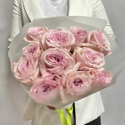 Pink roses
