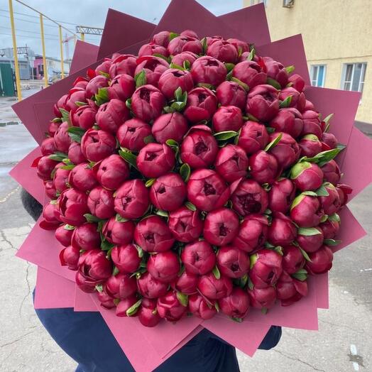 101 пион бордовый ( красный️))