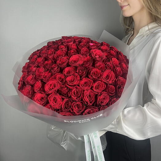 101 Red Rose