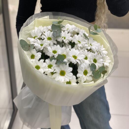 Нежные ромашки