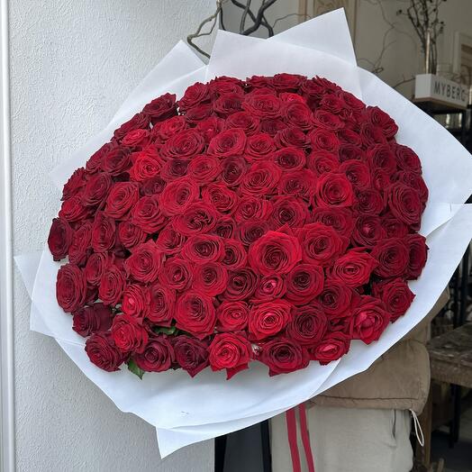 101 красная red Роза