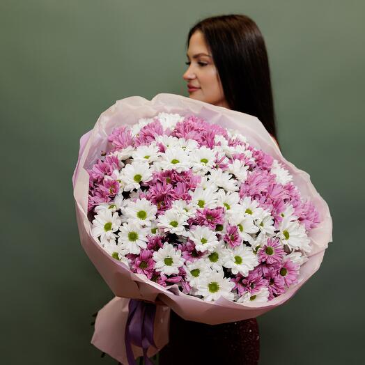 25 бело-розовых хризантем