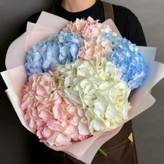 Mix of hydrangeas 5