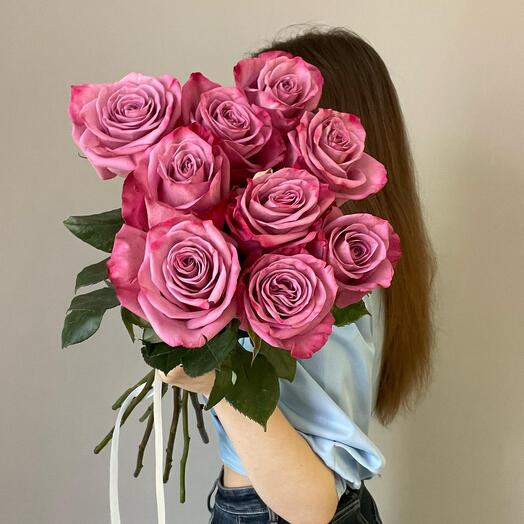Моди Блю 9