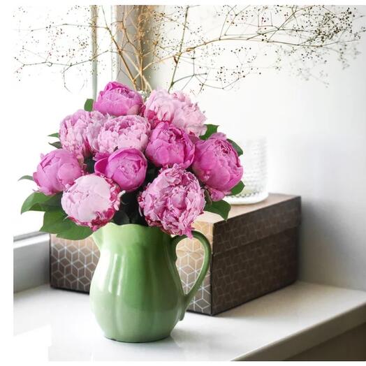 Pivoine violet