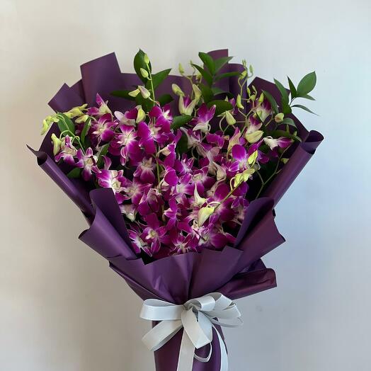 Orchid purple