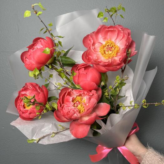 Пионы коралловые 5 шт