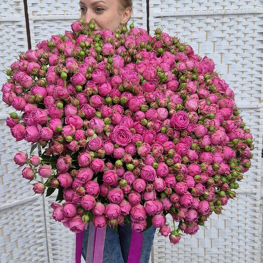 101 Роза Мисти Баблс (101 пионовидная кустовая роза)